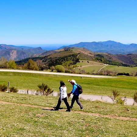 Naturaleza Y Aire Puro En El Pirineo Oriental En Una Bonita Casa Rural De Piedra Prats-de-Mollo-la-Preste Eksteriør billede
