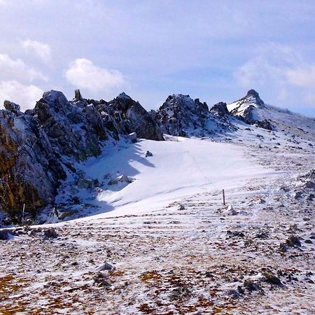 Naturaleza Y Aire Puro En El Pirineo Oriental En Una Bonita Casa Rural De Piedra Prats-de-Mollo-la-Preste Eksteriør billede