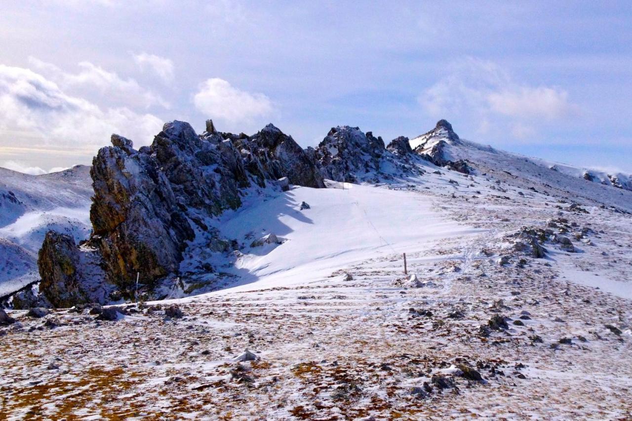 Naturaleza Y Aire Puro En El Pirineo Oriental En Una Bonita Casa Rural De Piedra Prats-de-Mollo-la-Preste Eksteriør billede