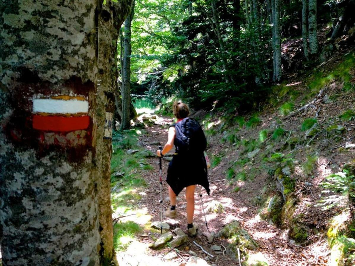 Naturaleza Y Aire Puro En El Pirineo Oriental En Una Bonita Casa Rural De Piedra Prats-de-Mollo-la-Preste Eksteriør billede