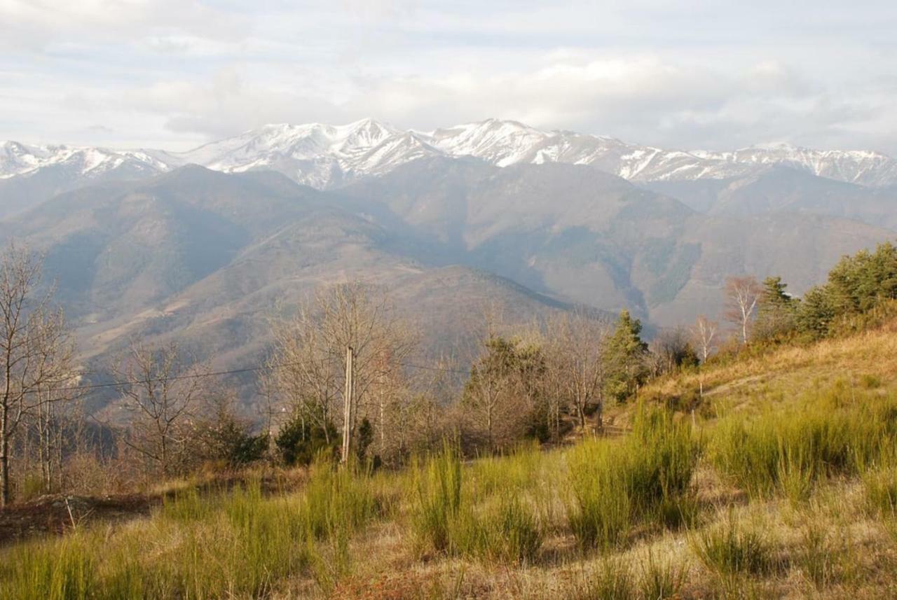 Naturaleza Y Aire Puro En El Pirineo Oriental En Una Bonita Casa Rural De Piedra Prats-de-Mollo-la-Preste Eksteriør billede